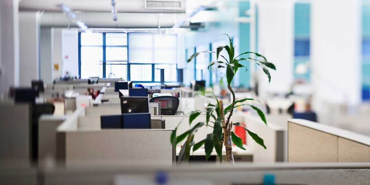 rotina de escritório